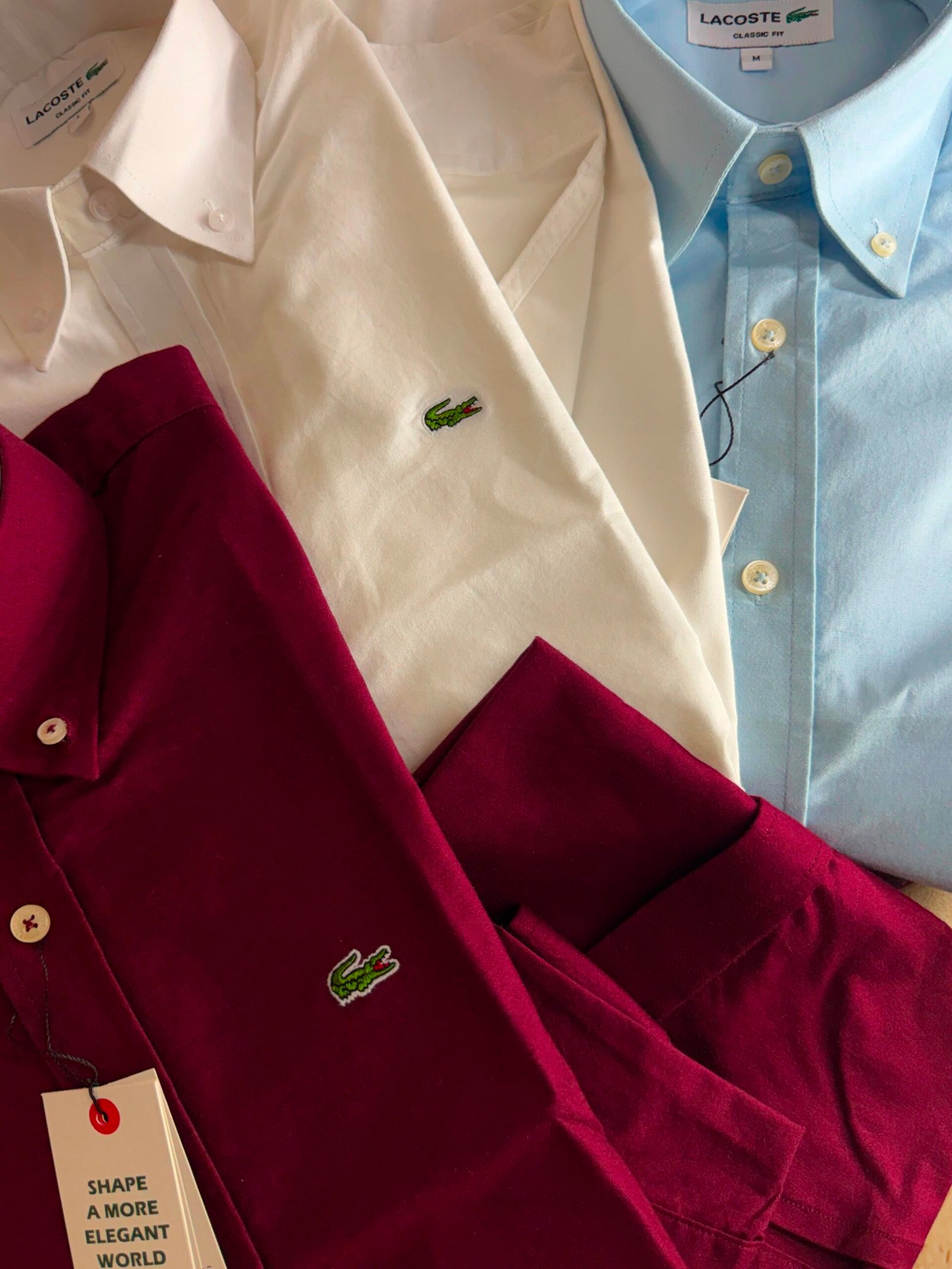 Buy Lacos_tee Plain Oxford Lycra Shirt - Image 7