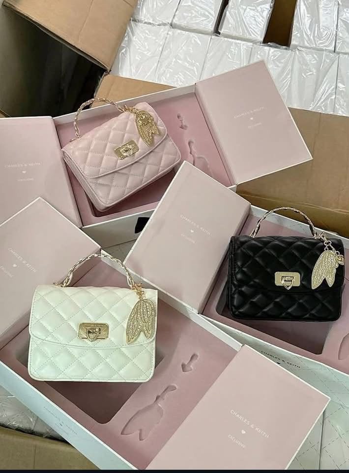 First Copy Charles & Keith Special Box